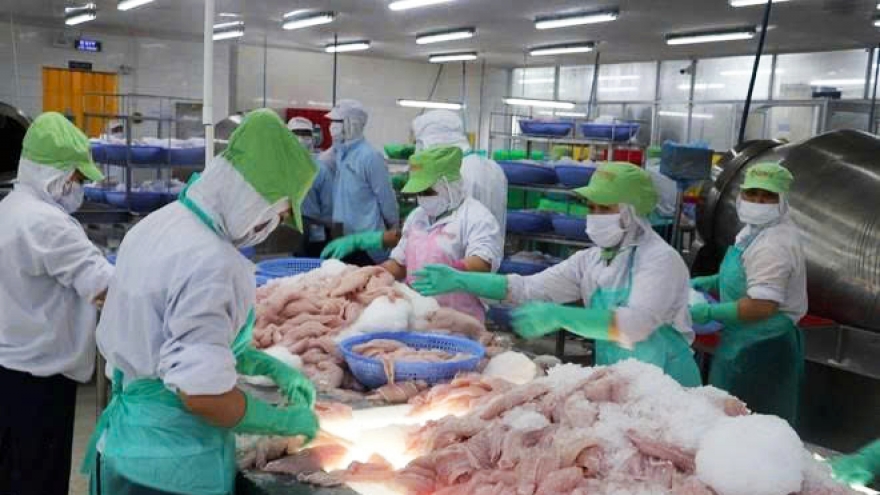 Vietnam, Brazil boast huge potential for trade cooperation
